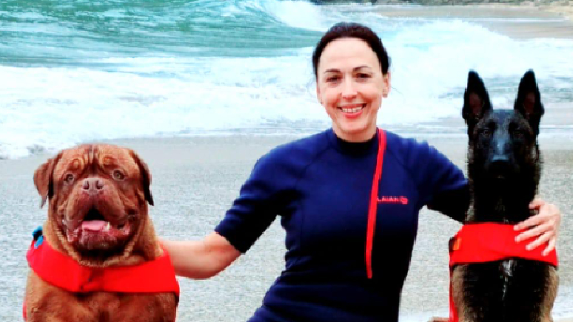 Educación canina y etología